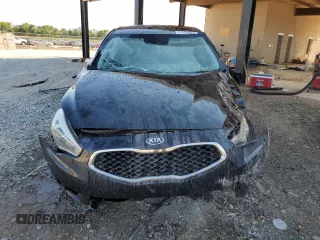 2014 Kia Cadenza Premium with VIN KNALN4D75E5163201, listed as a Copart auction lot 61553824 with 133,490 mi miles and Salvage Title. Bid and sale history available at carsss.com. Image 5.