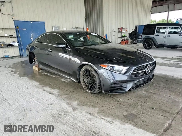 2019 Mercedes-Benz CLS with VIN WDD2J5JB7KA006996, listed as a Copart auction lot 81696554 with 0 mi miles and Salvage Title. Bid and sale history available at carsss.com. Image 13.