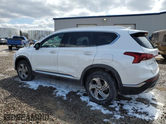 2022 Hyundai Santa Fe SEL with VIN 5NMS6DAJ6NH411044, listed as a Copart auction lot 52317385 with 44,482 mi miles and Salvage Title. Bid and sale history available at carsss.com. Image 2.