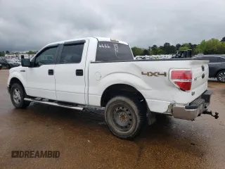 2011 Ford F-150 XL with VIN 1FTFW1EF3BFB48395, listed as a Copart auction lot 51044025 with 274,302 mi miles and Salvage Title. Bid and sale history available at DreamBid. Image 2.