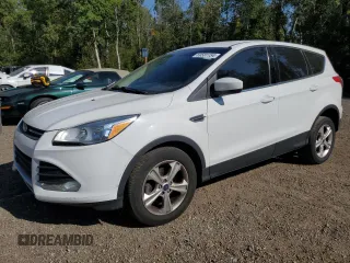 2013 Ford Escape SE with VIN 1FMCU0GX9DUD26281, listed as a Copart auction lot 69581154 with 192,765 mi miles and Clean Title. Bid and sale history available at carsss.com. Image 1.