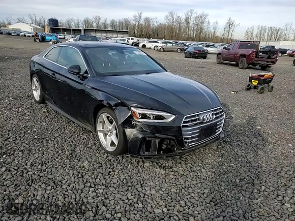 2019 Audi A5 Premium Plus with VIN WAUTNAF59KA007501, listed as a Copart auction lot 42559375 with Not Provided miles and Salvage Title. Bid and sale history available at DreamBid. Image 10.