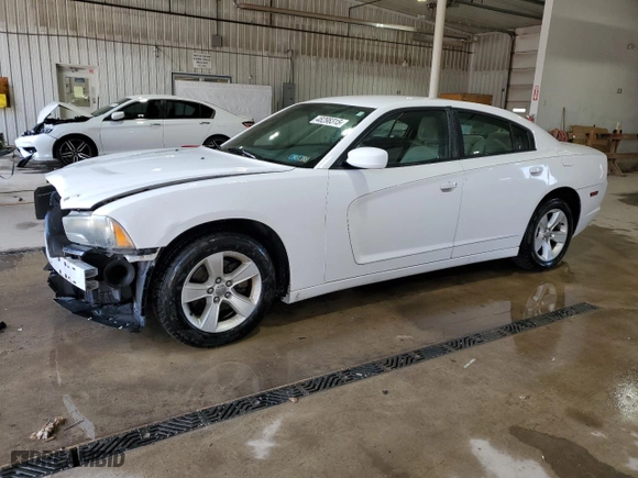 2011 Dodge Charger Rallye with VIN 2B3CL3CG3BH525052, listed as a Copart auction lot 48298315 with 174,197 mi miles and Salvage Title. Bid and sale history available at carsss.com. Image 1.