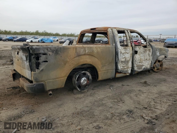 2010 Ford F-150 XL with VIN 1FTFX1CV0AFA36403, listed as a Copart auction lot 81621624 with 0 mi miles and Non Repairable. Bid and sale history available at carsss.com. Image 3.