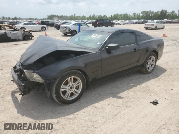 2013 Ford Mustang V6 with VIN 1ZVBP8AM7D5276010, listed as a Copart auction lot 53842395 with 0 mi miles and Clean Title. Bid and sale history available at carsss.com. Image 1.