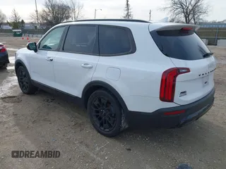 2022 Kia Telluride EX with VIN 5XYP3DHC3NG204367, listed as a IAAI auction lot 41850949 with 87,394 mi miles and . Bid and sale history available at carsss.com. Image 3.