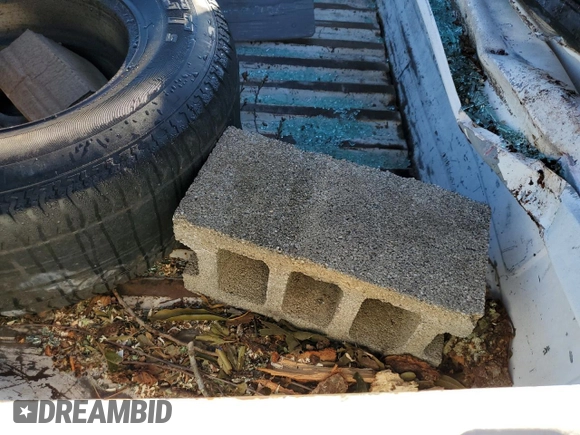 1992 Ford F-150 with VIN 1FTDF15Y3NNA18376, listed as a Copart auction lot 77421854 with 0 mi miles and Salvage Title. Bid and sale history available at carsss.com. Image 10.