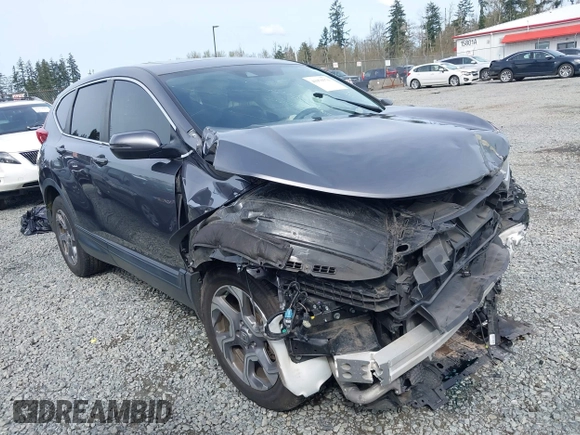 2019 Honda CR-V EX with VIN JHLRW2H57KX022530, listed as a IAAI auction lot 41970376 with 51,327 mi miles. Bid and sale history available at carsss.com. Image 1.