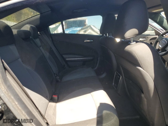 2016 Dodge Charger SE with VIN 2C3CDXBG7GH205300, listed as a Copart auction lot 48905335 with 116,622 mi miles and Salvage Title. Bid and sale history available at carsss.com. Image 10.
