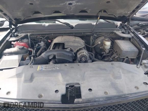 2009 Chevrolet Silverado 1500 with VIN 1GCEC24C29Z205003, listed as a IAAI auction lot 42031245 with 123,278 mi miles and . Bid and sale history available at DreamBid. Image 10.