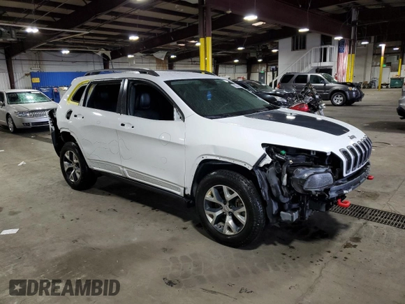 2016 Jeep Cherokee Trailhawk with VIN 1C4PJMBS8GW166629, listed as a Copart auction lot 55845415 with 122,290 mi miles and Salvage title. Bid and sale history available at DreamBid. Image 4.