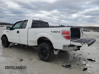 2014 Ford F-150 XL with VIN 1FTFX1EF4EKD82862, listed as a Copart auction lot 46857695 with Not provided miles and Clean title. Bid and sale history available at DreamBid. Image 2.