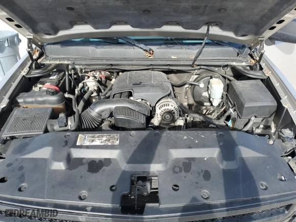 2009 Chevrolet Silverado 1500 LS with VIN 2GCEC13C391140750, listed as a Copart auction lot 89070065 with 170,957 mi miles and Salvage Title. Bid and sale history available at carsss.com. Image 12.