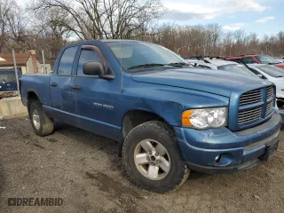 2003 Dodge Ram 1500 ST with VIN 1D7HU18N73S201650, listed as a Copart auction lot 49982585 with 0 mi miles and Salvage Title. Bid and sale history available at carsss.com. Image 4.