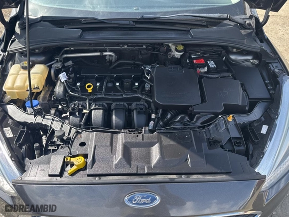 2016 Ford Focus SE with VIN 1FADP3F23GL296380, listed as a Copart auction lot 50214705 with NaN miles and Salvage Title. Bid and sale history available at carsss.com. Image 7.