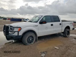 2013 Ford F-150 XL with VIN 1FTFW1EF8DFA45783, listed as a Copart auction lot 64494215 with 194,441 mi miles and Clean title. Bid and sale history available at DreamBid. Image 1.