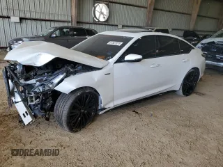 2021 Cadillac CT5 V-Series with VIN 1G6DV5RW7M0134696, listed as a Copart auction lot 67527874 with Not provided miles and Salvage title. Bid and sale history available at DreamBid. Image 1.