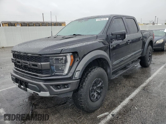 2023 Ford F-150 Raptor with VIN 1FTFW1RG6PFA01658, listed as a Copart auction lot 47601275 with 40,440 mi miles and Salvage Title. Bid and sale history available at DreamBid. Image 1.
