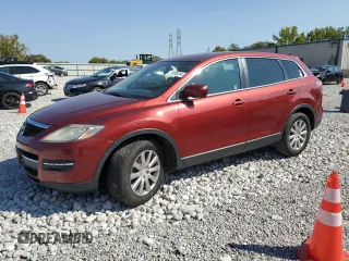 2009 Mazda CX-9 Grand Touring with VIN JM3TB38A690173807, listed as a Copart auction lot 46302595 with 257,742 mi miles and Salvage Title. Bid and sale history available at carsss.com. Image 1.