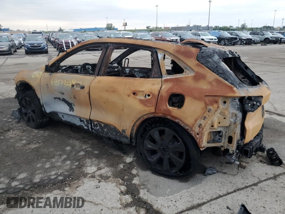 2024 Ford Escape Platinum with VIN 1FMCU9JA3RUA40670, listed as a Copart auction lot 64583224 with Not Provided miles and Non Repairable. Bid and sale history available at DreamBid. Image 2.