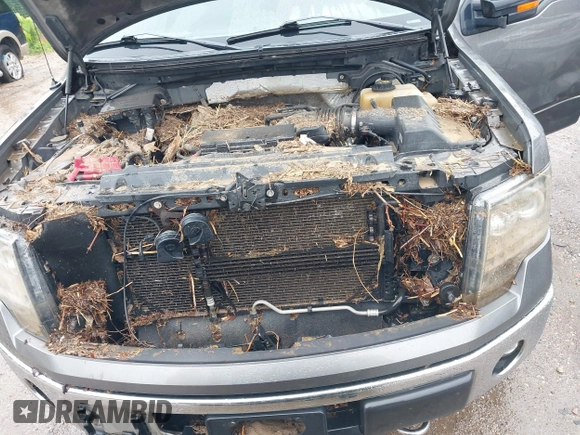 2012 Ford F-150 XL with VIN 1FTFW1EF9CFB92323, listed as a IAAI auction lot 42312910 with Not provided miles and . Bid and sale history available at DreamBid. Image 10.