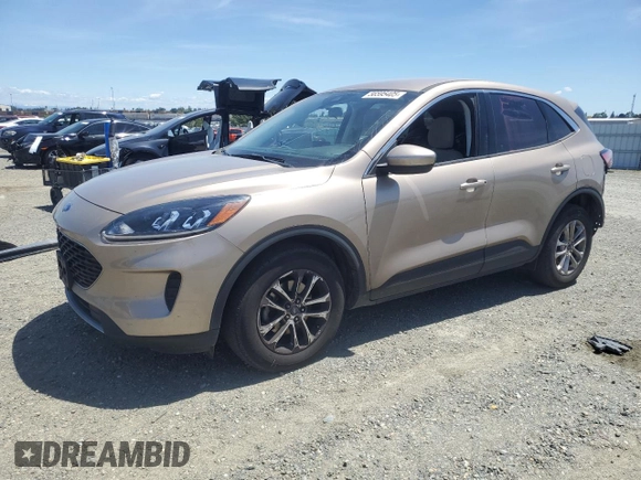 2021 Ford Escape SE with VIN 1FMCU0G66MUB34372, listed as a Copart auction lot 56595405 with 42,355 mi miles and Salvage title. Bid and sale history available at DreamBid. Image 1.