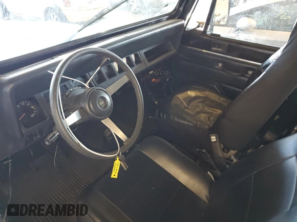 1994 Jeep Wrangler S with VIN 1J4FY19P9RP425255, listed as a Copart auction lot 41884425 with 177,089 mi miles and Salvage Title. Bid and sale history available at carsss.com. Image 8.