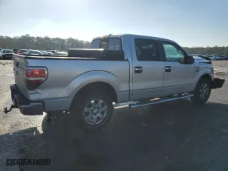 2013 Ford F-150 XL with VIN 1FTFW1CF1DFD63215, listed as a Copart auction lot 42959175 with 174,448 mi miles and Salvage Title. Bid and sale history available at carsss.com. Image 3.