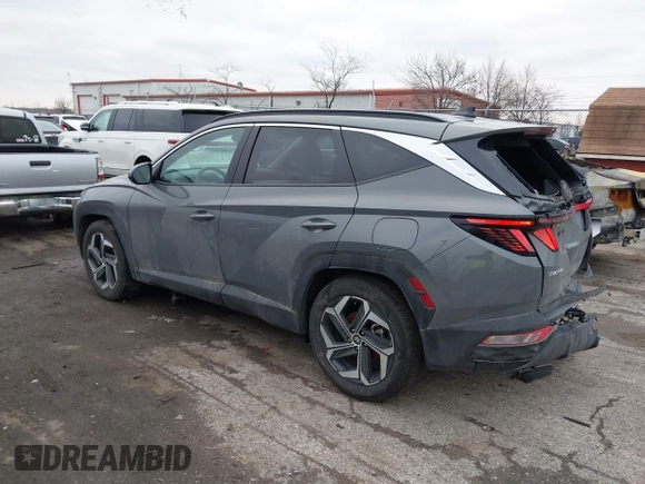 2024 Hyundai Tucson SEL with VIN 5NMJF3DE0RH320586, listed as a IAAI auction lot 41123749 with 15,088 mi miles. Bid and sale history available at carsss.com. Image 3.