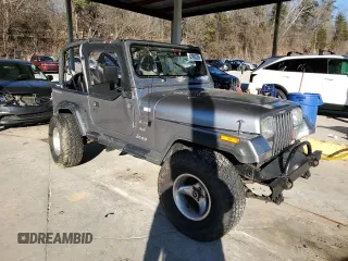 1994 Jeep Wrangler with VIN 1J4FY29S4RP471828, listed as a Copart auction lot 87893385 with 210,743 mi miles and Salvage Title. Bid and sale history available at carsss.com. Image 4.