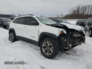 2019 Jeep Cherokee Trailhawk Elite with VIN 1C4PJMBX3KD196654, listed as a Copart auction lot 46592565 with 122,225 mi miles and Salvage Title. Bid and sale history available at carsss.com. Image 4.