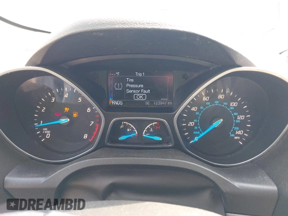 2014 Ford Escape SE with VIN 1FMCU9G99EUC81141, listed as a IAAI auction lot 42436279 with 123,947 mi miles and . Bid and sale history available at DreamBid. Image 7.