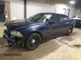 2013 Dodge Charger Police with VIN 2C3CDXAG9DH568064, listed as a Copart auction lot 88495825 with 113,509 mi miles and Salvage Title. Bid and sale history available at carsss.com. Image 1.