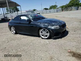 2016 BMW 2 Series 228i with VIN WBA1F9C53GV546624, listed as a Copart auction lot 57800425 with 96,608 mi miles and Salvage title. Bid and sale history available at DreamBid. Image 13.