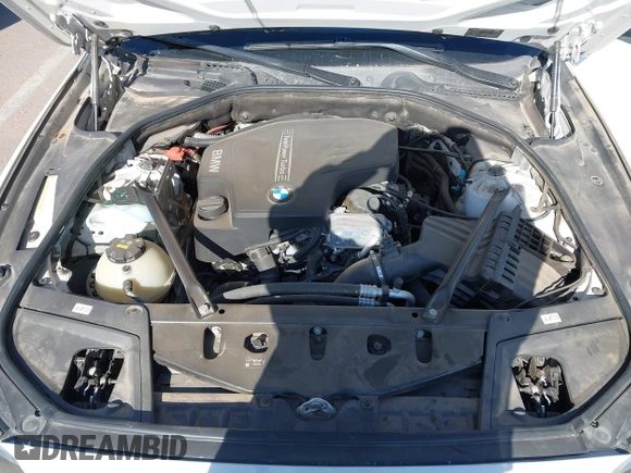 2016 BMW 5 Series 528i with VIN WBA5A5C51GG354132, listed as a IAAI auction lot 41848159 with 100,382 mi miles and . Bid and sale history available at DreamBid. Image 10.