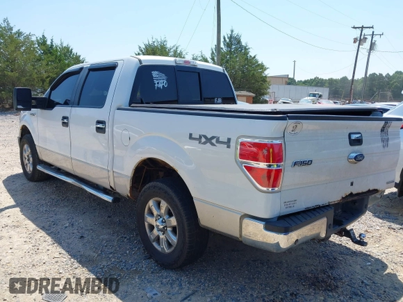 2013 Ford F-150 XL with VIN 1FTFW1EF1DFC03980, listed as a IAAI auction lot 42649384 with 189,917 mi miles and . Bid and sale history available at DreamBid. Image 3.