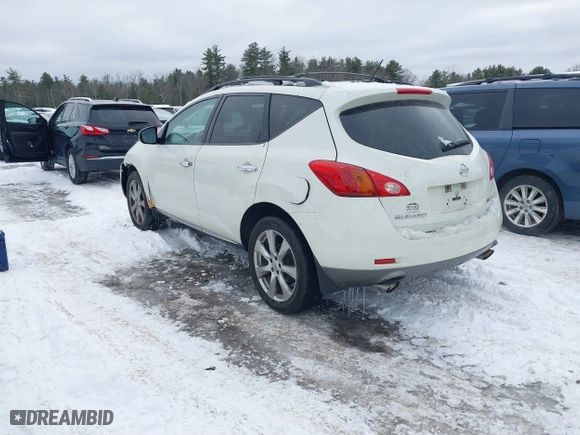 2010 Nissan Murano SL with VIN JN8AZ1MW1AW124571, listed as a IAAI auction lot 41542610 with 167,494 mi miles. Bid and sale history available at carsss.com. Image 3.