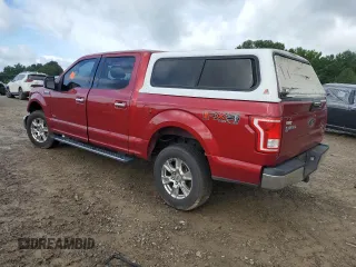 2015 Ford F-150 XLT with VIN 1FTEW1EG8FKE33918, listed as a Copart auction lot 60972635 with 258,002 mi miles and Salvage title. Bid and sale history available at DreamBid. Image 2.