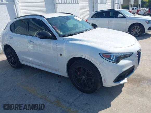 2020 Alfa Romeo Stelvio Sport z VIN ZASPAJAN4L7C75093, wystawiony jako IAAI lot #41900812 z przebiegiem 56 888 mil mil oraz . Historia ofert i sprzedaży dostępna na DreamBid. Obrazek 1.