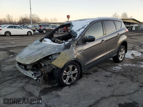 2014 Ford Escape SE with VIN 1FMCU9GX8EUA34028, listed as a Copart auction lot 86412394 with Not Provided miles and Salvage Title. Bid and sale history available at DreamBid. Image 1.