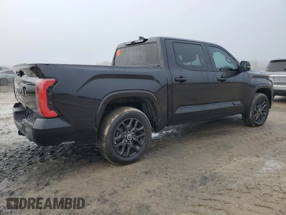 2023 Toyota Tundra 2WD Platinum with VIN 5TFNA5AB5PX026479, listed as a Copart auction lot 83395714 with 13,056 mi miles and Non Repairable. Bid and sale history available at carsss.com. Image 3.