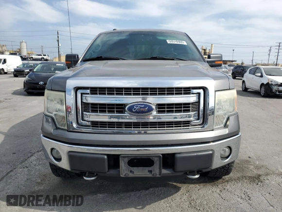 2013 Ford F-150 XL with VIN 1FTFW1EF5DFD98000, listed as a Copart auction lot 53516905 with 292,000 mi miles and Salvage title. Bid and sale history available at DreamBid. Image 5.