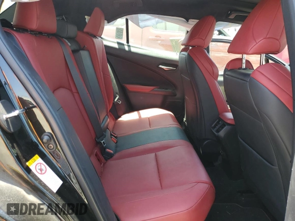 2019 Lexus UX 250h with VIN JTHU9JBH2K2013001, listed as a Copart auction lot 59142205 with 104,917 mi miles and Salvage title. Bid and sale history available at DreamBid. Image 10.
