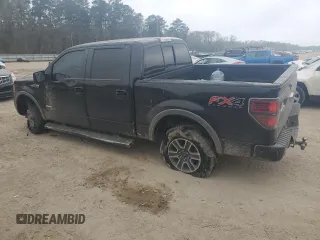 2013 Ford F-150 XL with VIN 1FTFW1ET4DKF46019, listed as a Copart auction lot 48988855 with 170,141 mi miles and Salvage Title. Bid and sale history available at carsss.com. Image 2.