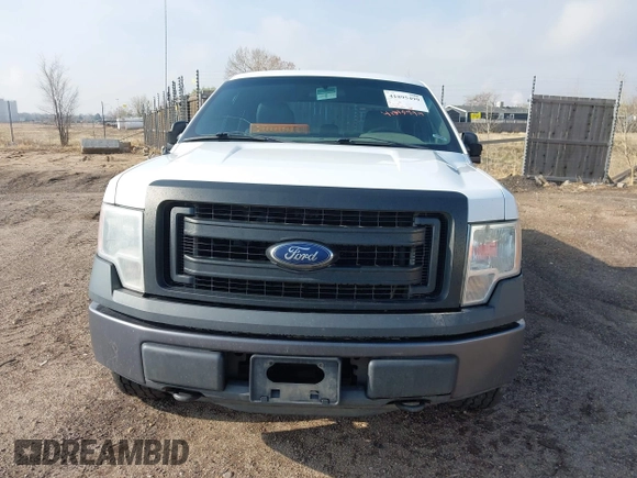 2014 Ford F-150 XL with VIN 1FTEX1EM0EKE57132, listed as a IAAI auction lot 41895499 with 260,186 mi miles and . Bid and sale history available at carsss.com. Image 12.