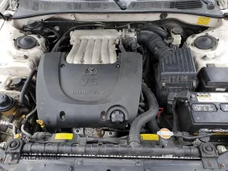 2004 Hyundai Sonata GLS with VIN KMHWF35H54A978952, listed as a Copart auction lot 49312725 with 0 mi miles and Salvage Title. Bid and sale history available at carsss.com. Image 11.