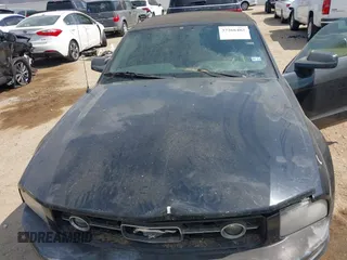 2008 Ford Mustang Deluxe with VIN 1ZVHT84N885103483, listed as a IAAI auction lot 38313447 with Not Provided miles and . Bid and sale history available at carsss.com. Image 10.