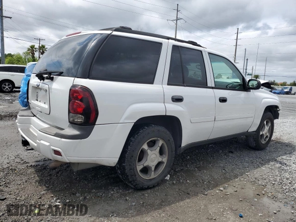 2007 Chevrolet TrailBlazer LS with VIN 1GNDS13S972249403, listed as a Copart auction lot 52070115 with 195,419 mi miles and Salvage Title. Bid and sale history available at DreamBid. Image 3.