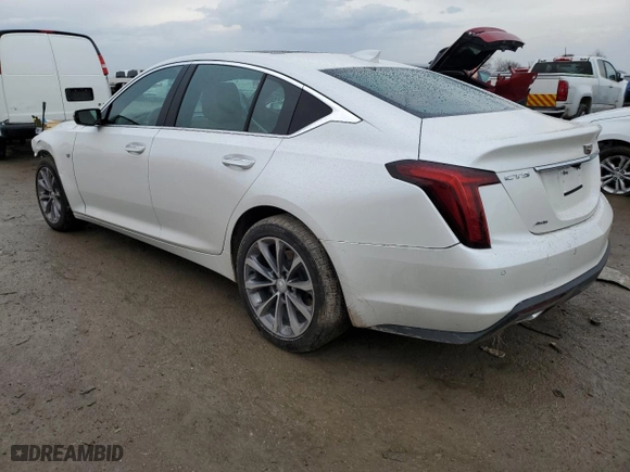 2024 Cadillac CT5 Premium Luxury with VIN 1G6DT5RW9R0130095, listed as a Copart auction lot 46825735 with 8,589 mi miles and Salvage Title. Bid and sale history available at carsss.com. Image 2.