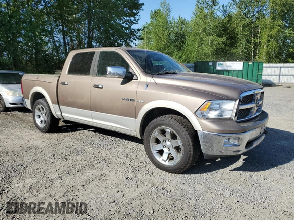 2009 Dodge 1500 SLT with VIN 1D3HV13T39J528159, listed as a Copart auction lot 55737195 with 192,899 mi miles and Clean Title. Bid and sale history available at carsss.com. Image 4.
